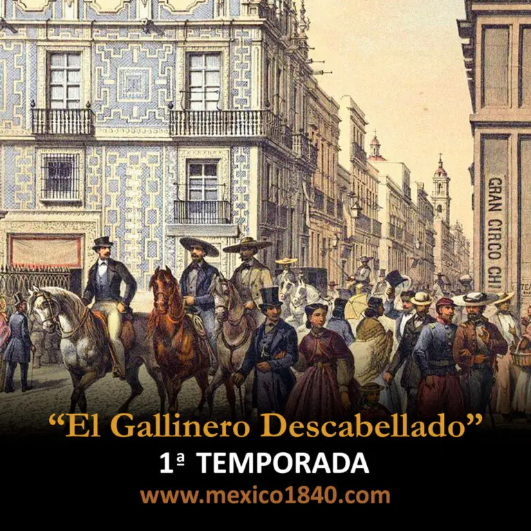 Madame Calderón: Historias México El Gallinero Descabellado: Temporada 1