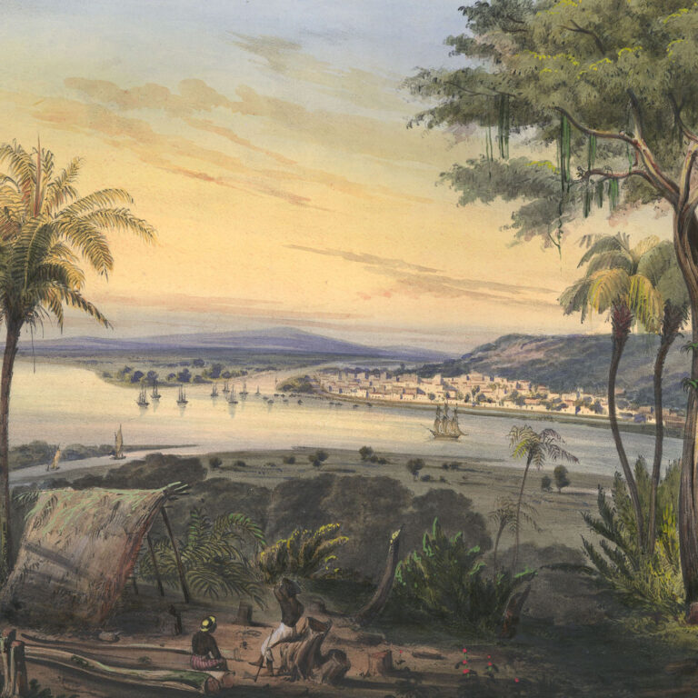 El día catorce viró y la costa de Tamaulipas apareció tenuemente a la vista; el día quince vimos las orillas de Tampico, con arena amarilla, y las blancas olas rompiendo furiosamente sobre la barra.