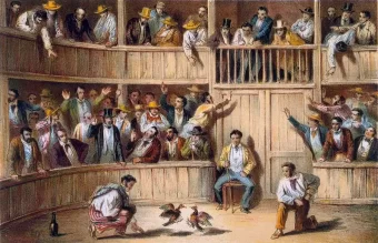 Palenque de gallos 1851
